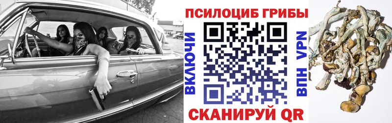 ОМГ ОМГ как войти  как найти закладки  Котовск  Галлюциногенные грибы GOLDEN TEACHER 