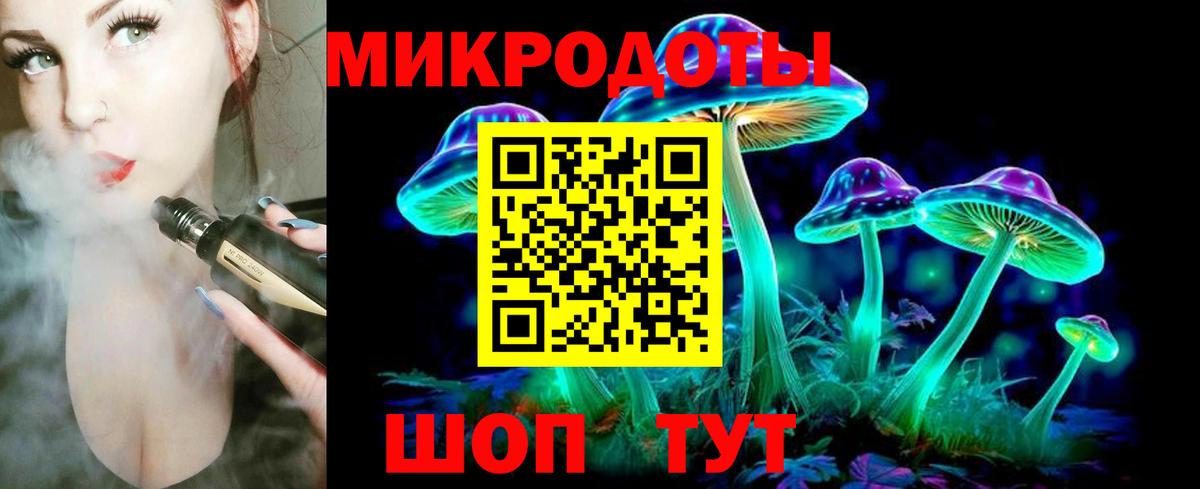 что такое наркотик  Псилоцибиновые грибы Psilocybe  Галлюциногенные грибы Psilocybe  Вход с VPN  Котовск 